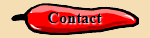 NMDA contact